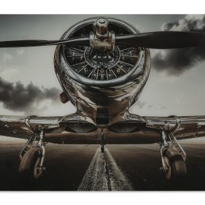 Cuadro Impresión Cristal Templado, Avión Gris - Imagen 4