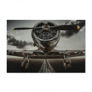 Cuadro Impresión Cristal Templado, Avión Gris - Imagen 1