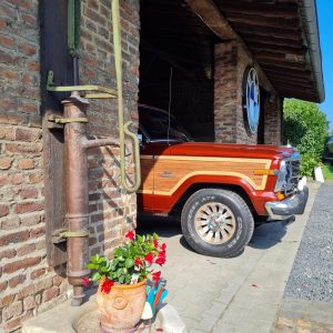 Home Classic Cars